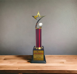 Skypathdigital Awards